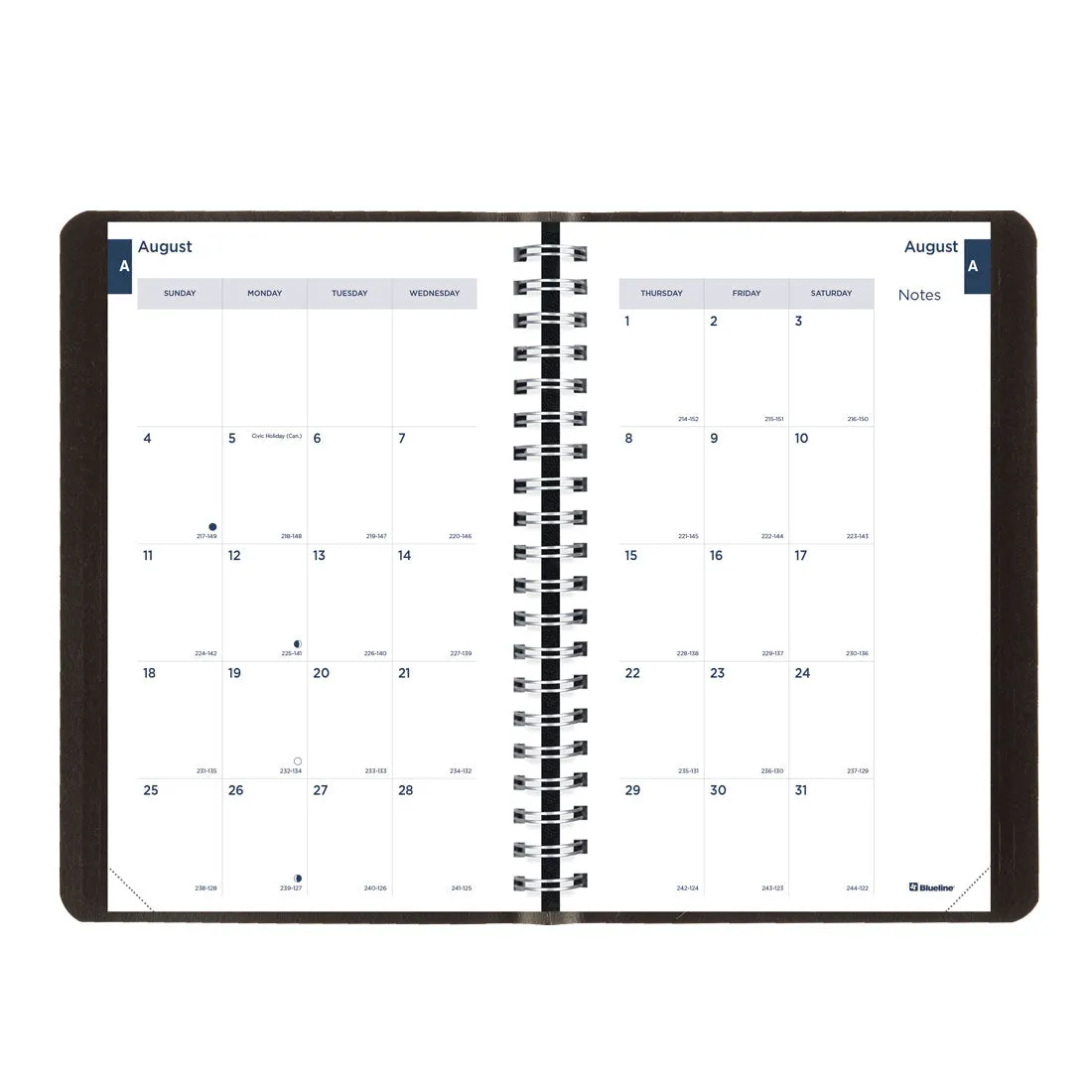 Academic Daily Planner 2024-2025, Black, CA201.BLK