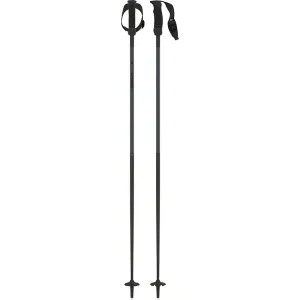 Amt Carbon Sqs Ski Poles