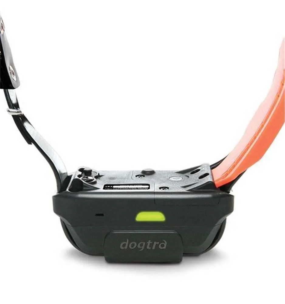 Dogtra Pathfinder TRX Extra Collar