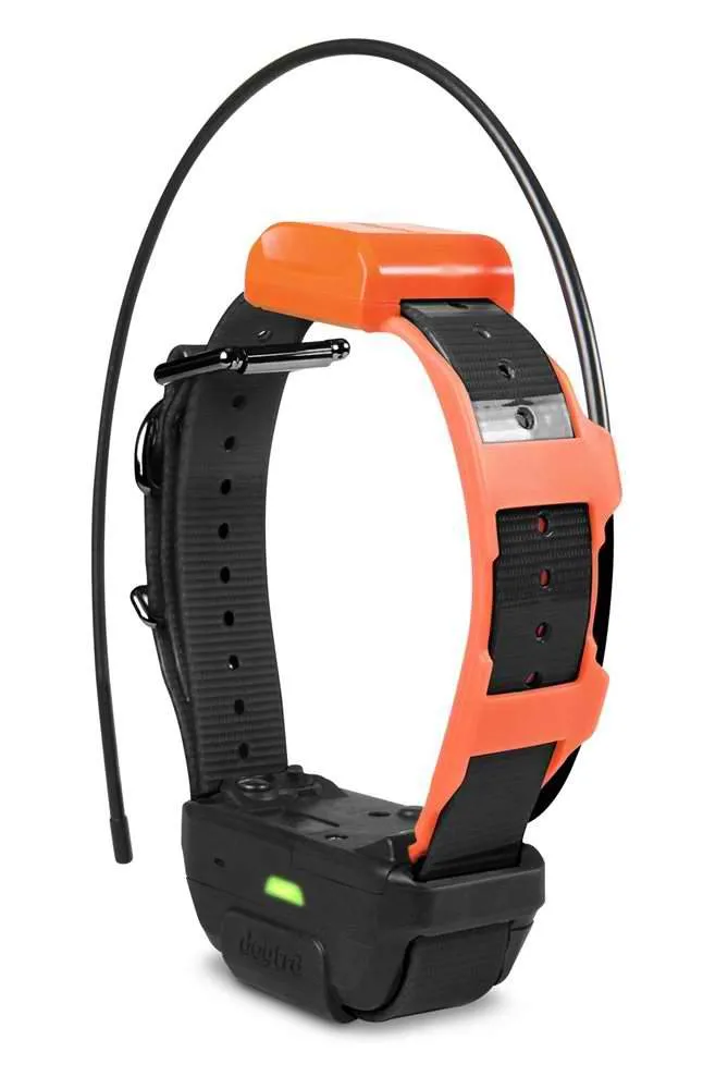 Dogtra Pathfinder TRX Extra Collar