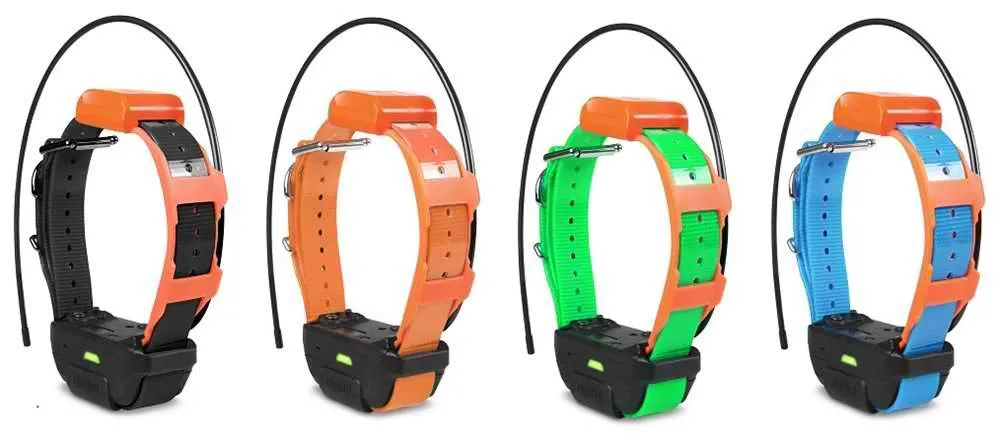 Dogtra Pathfinder TRX Extra Collar