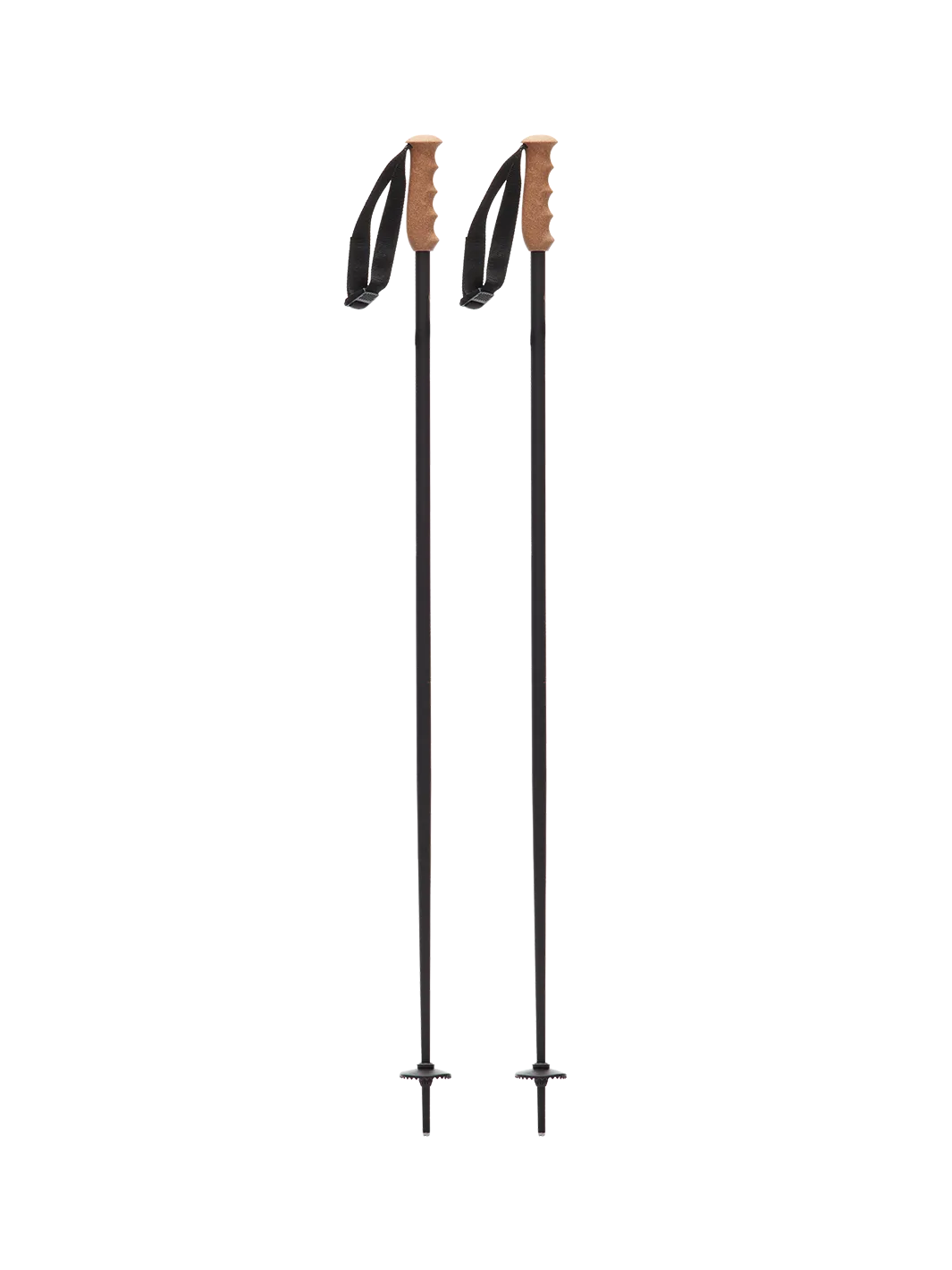 Fixed-length Ski Poles