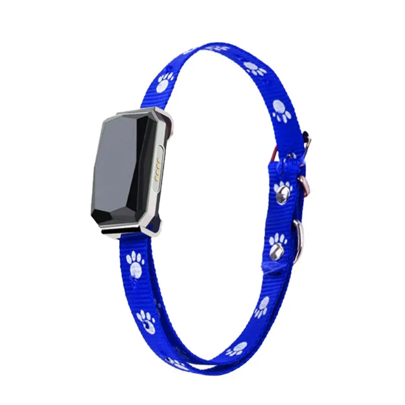 GPS pet collar