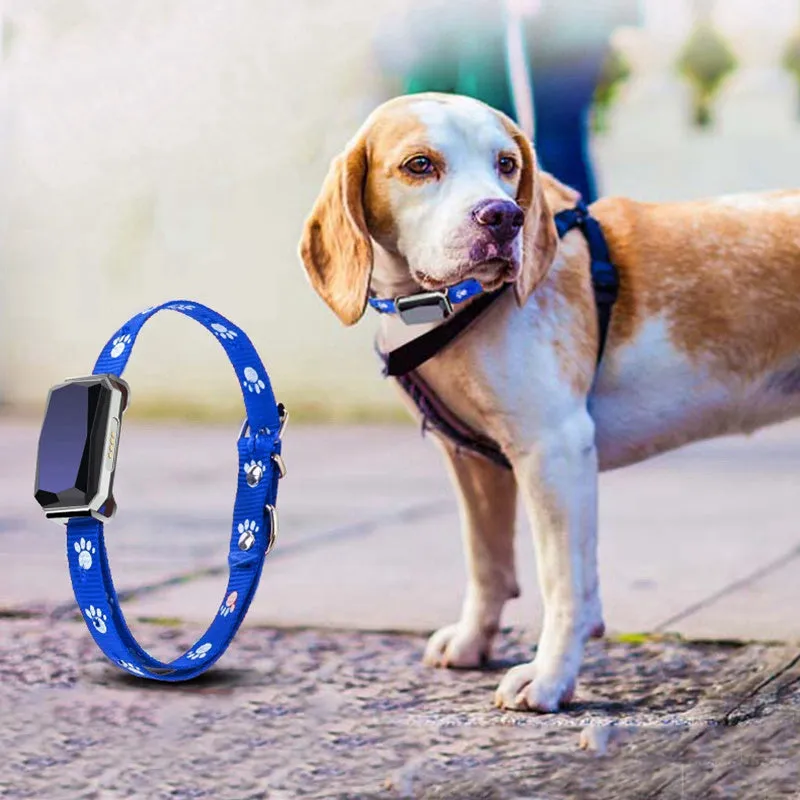 GPS pet collar