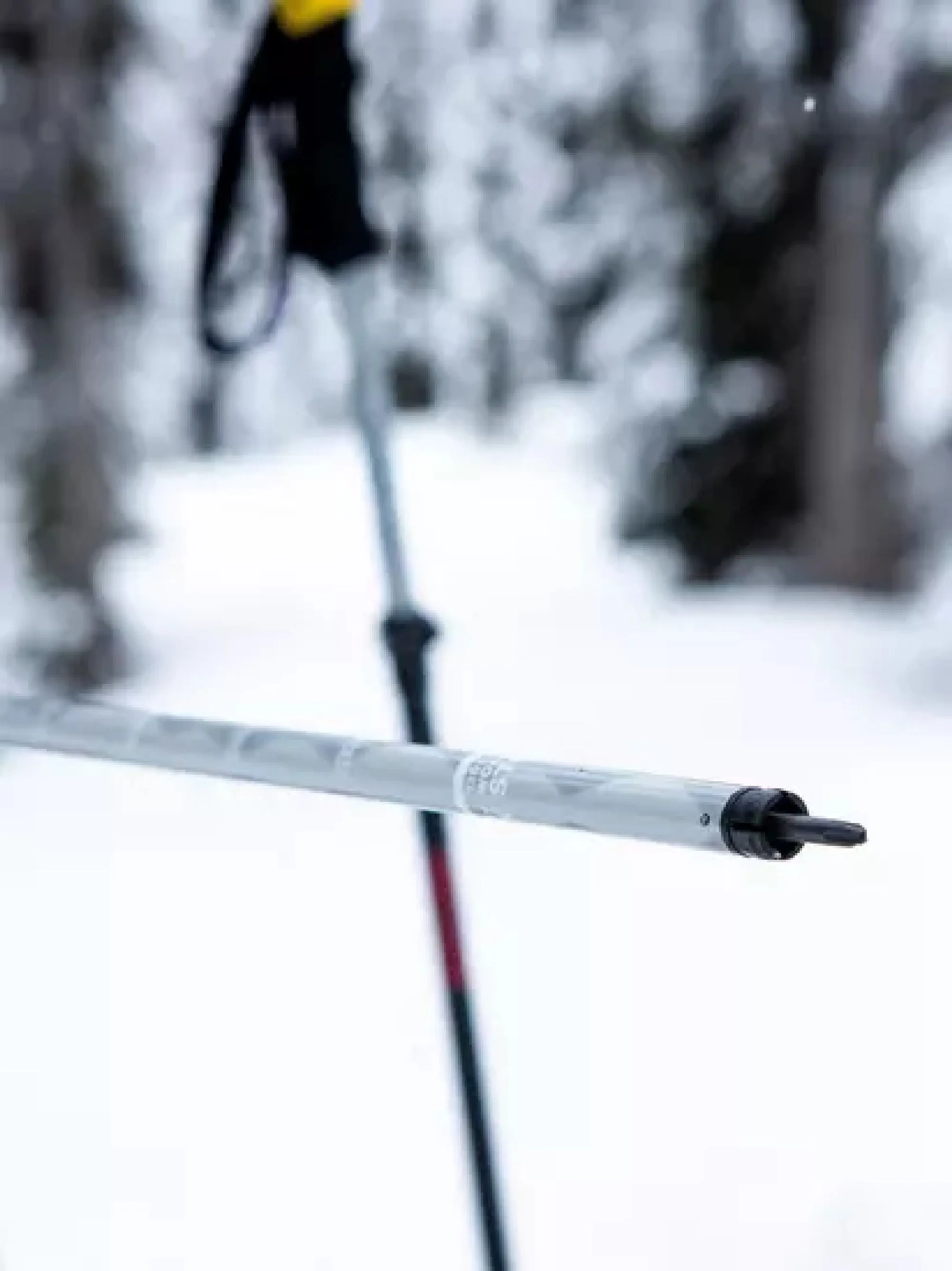 Line Slider Ski Poles