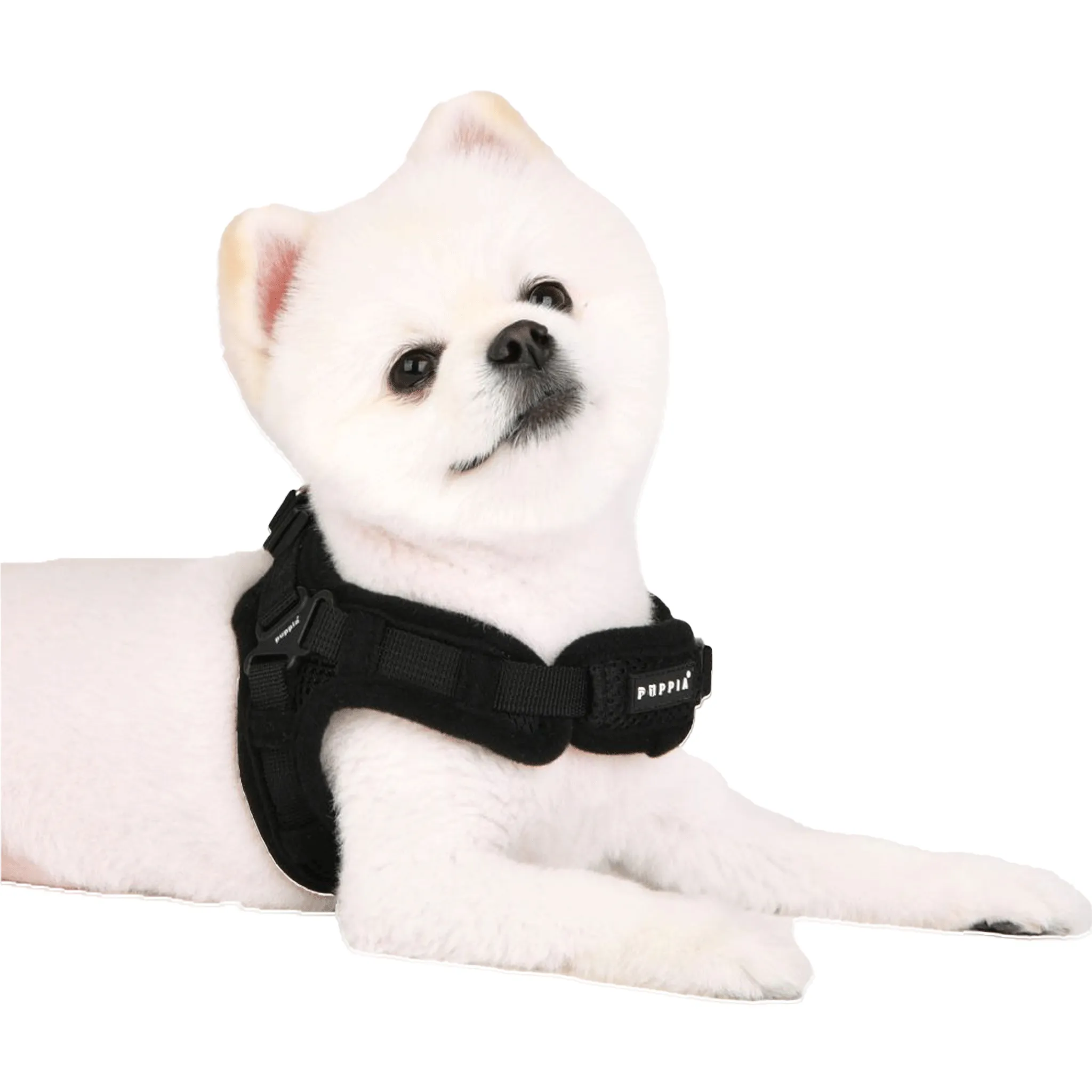 Puppia Black Soft Step-In Harness X