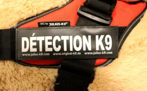 "Détection K9" Large / Small Harness Labels - Set of 2 Labels / patches