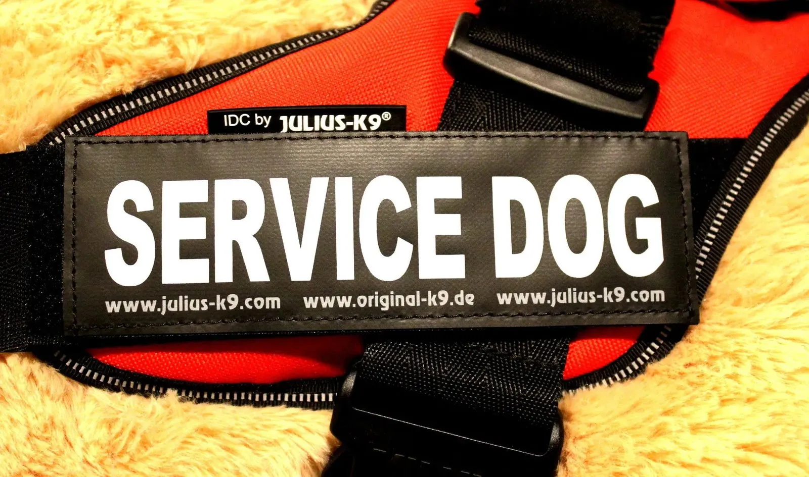 "Service Dog" Large Harness Labels - Set of 2 Labels / patches