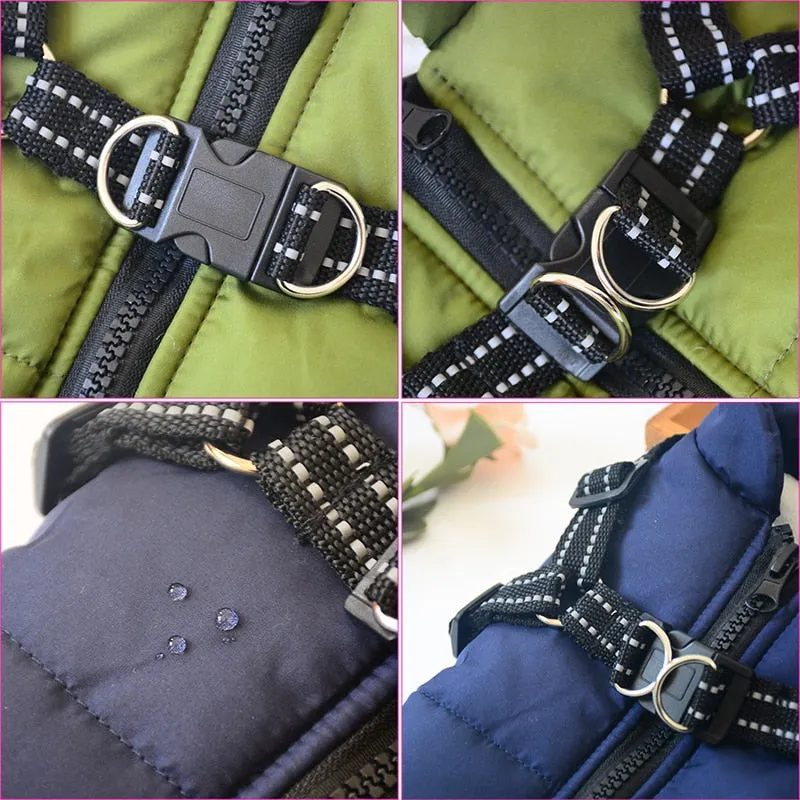 Sports Harness