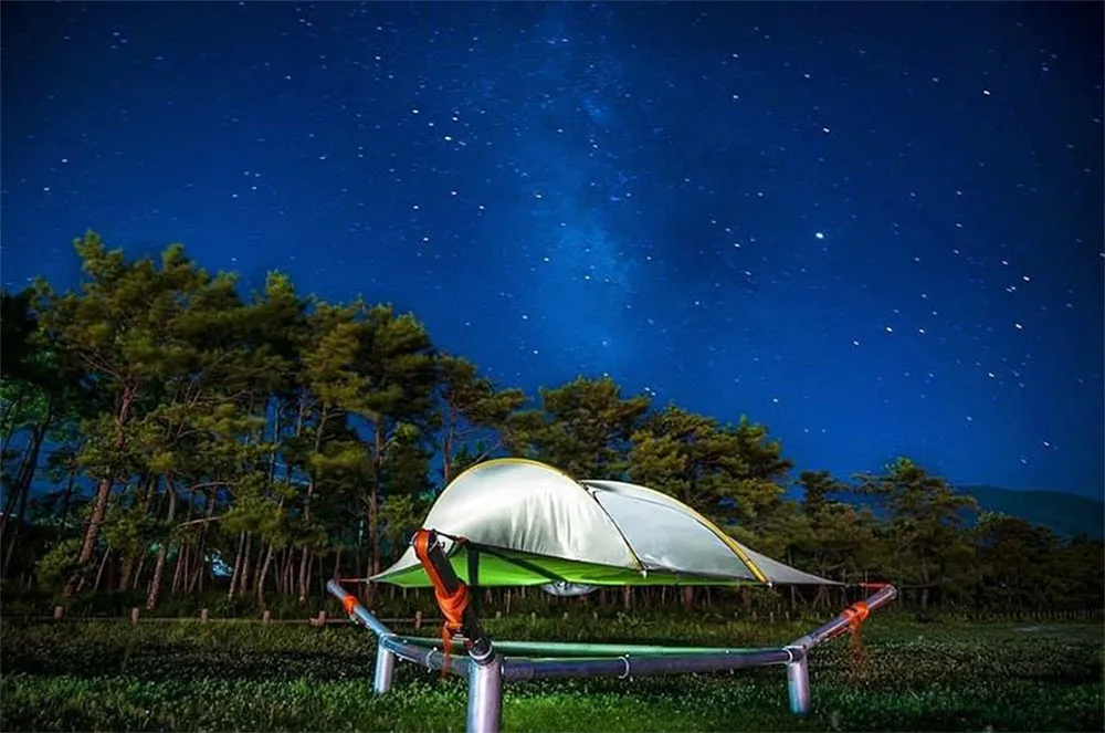 Tentsile Tree Tent & Hammock Stand