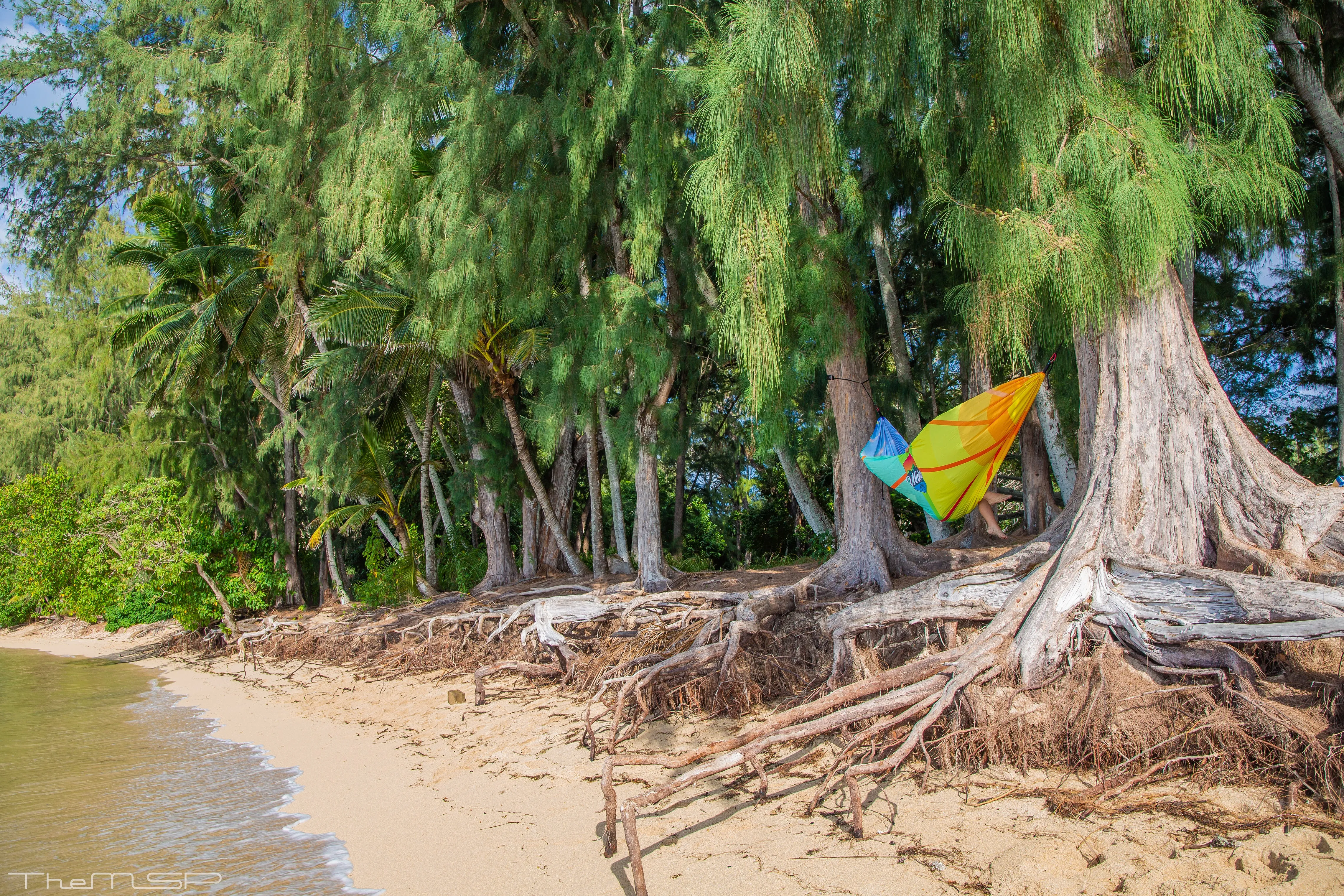 Uloha Hammock